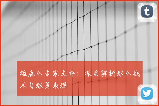 雄鹿队专家点评:深度解析球队战术与球员表现